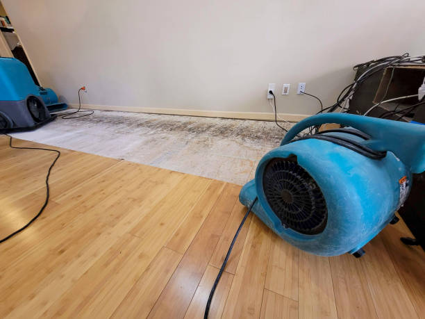 Professional Emergency Water Damage technician working in Carter Lake, IA